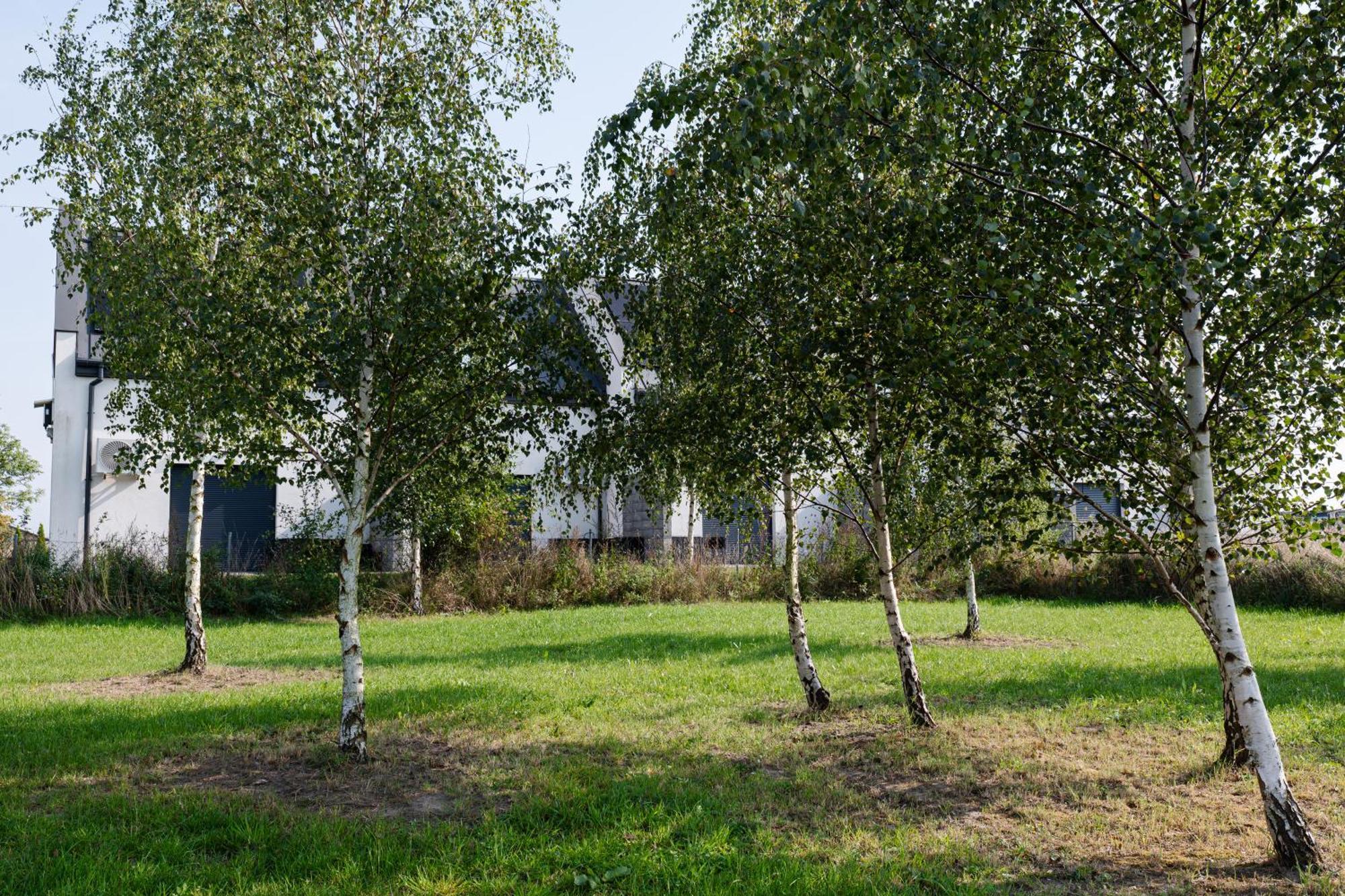 Nowe Apartamenty Ostoja - Nad Baltykiem - Cisza I Piekno Natury Zastan Extérieur photo